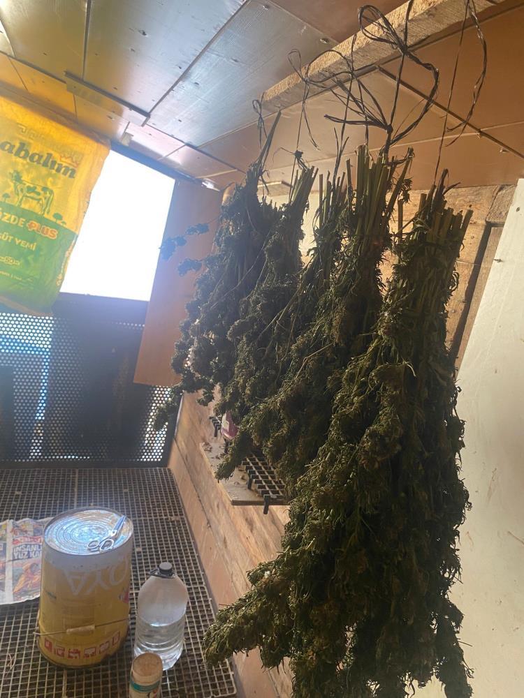 İnegöl’de güvercin kümesinde 2 kilogram esrar yakalandı