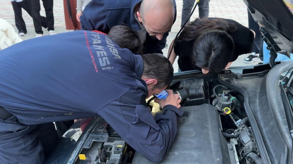 Otomobilin motoruna giren kedi, yaklaşık 2 saat sonra çıkarıldı