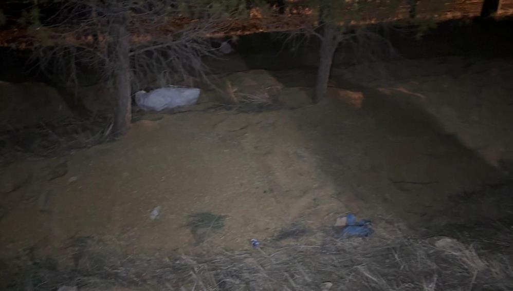 Şanlıurfa’da buğday dolu tır devrildi! Yollar altın sarısına büründü