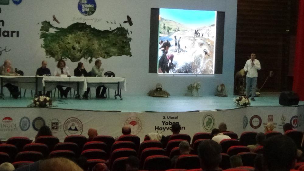 Van Gölü’nün incisi: İnci Kefalinin koruma mücadelesi