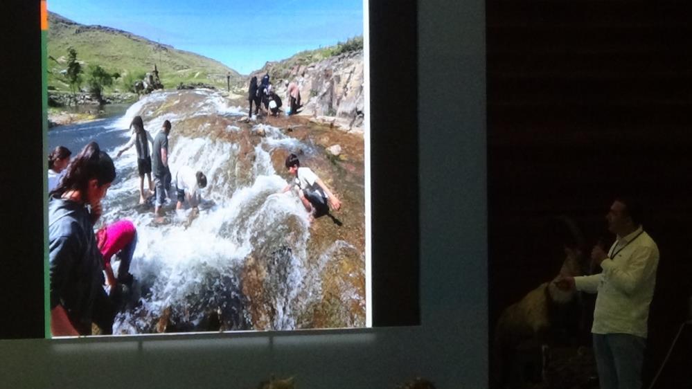 Van Gölü’nün incisi: İnci Kefalinin koruma mücadelesi