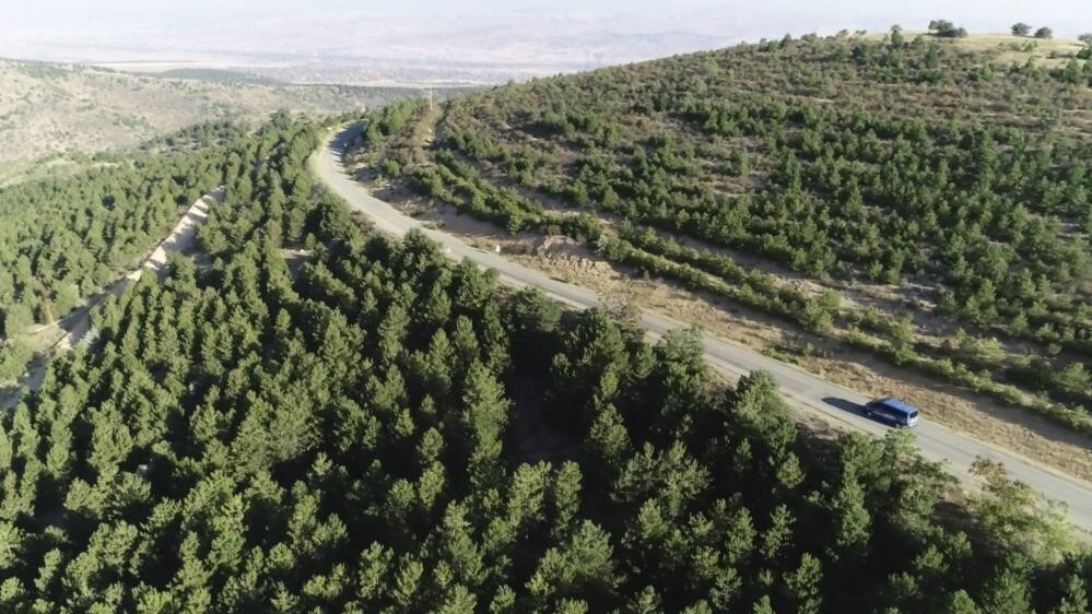 Kırıkkale’de ormanlara giriş 31 Ekim’e kadar yasak!