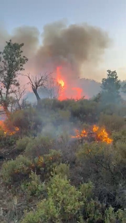 Balıkesir’de otomobil yangını ormana sıçradı 3 hektar alan kül oldu!