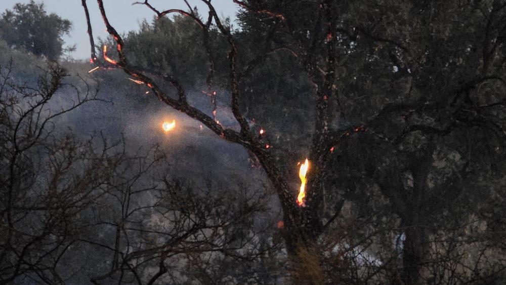 Muğla, Milas'ta düğün konvoyundan atılan meşale yangına neden oldu!
