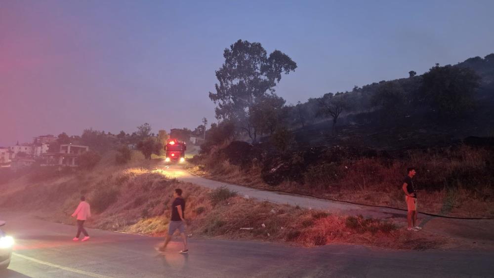 Muğla, Milas'ta düğün konvoyundan atılan meşale yangına neden oldu!