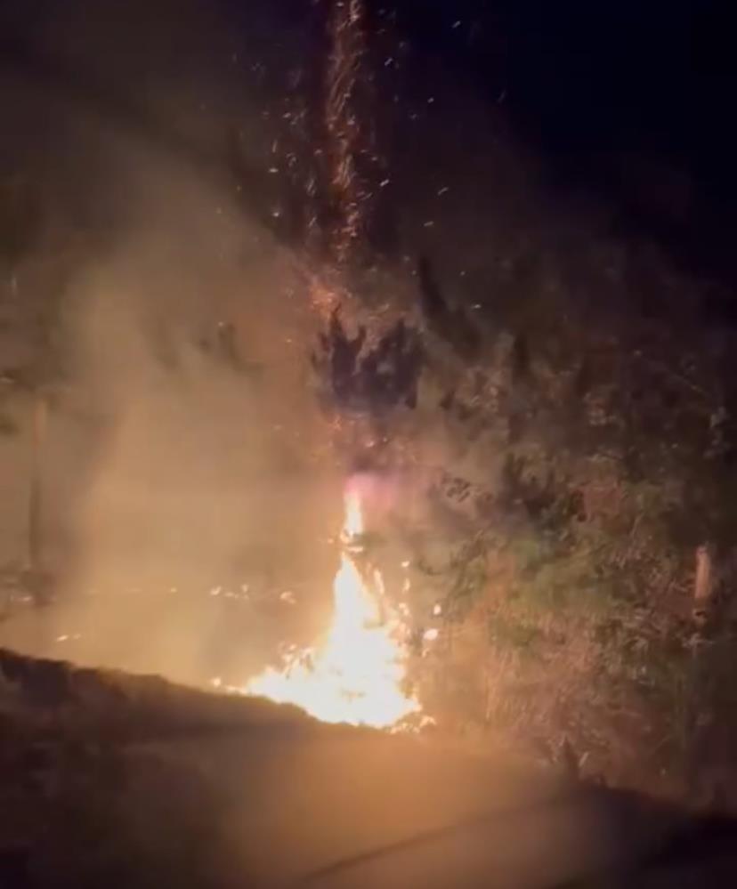 Bolu’da çıkan yangın ormana sıçramadan son anda söndürüldü