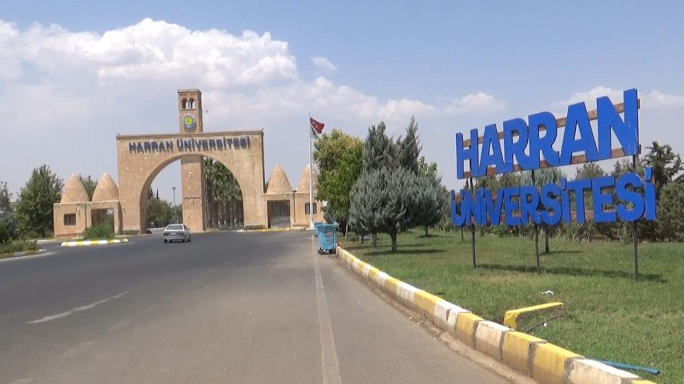 Başıboş köpekler dehşet saçtı! Koruma altındaki ceylanı parçaladılar