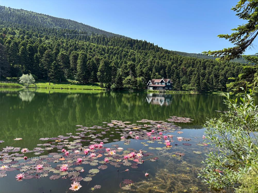 Bolu’da ‘ateşli piknik’ kararı! Valilik duyurdu: Tamamen yasaklandı