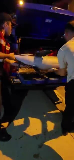 Bursa Gemlik’te ölü yunus balığı kıyıya vurdu