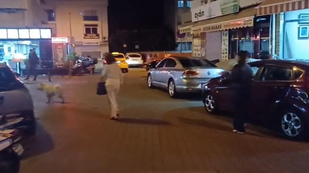 Marmaris açıklarında yaşanan 5.8’lik sarsıntıda olumsuzluk tespit edilmedi!